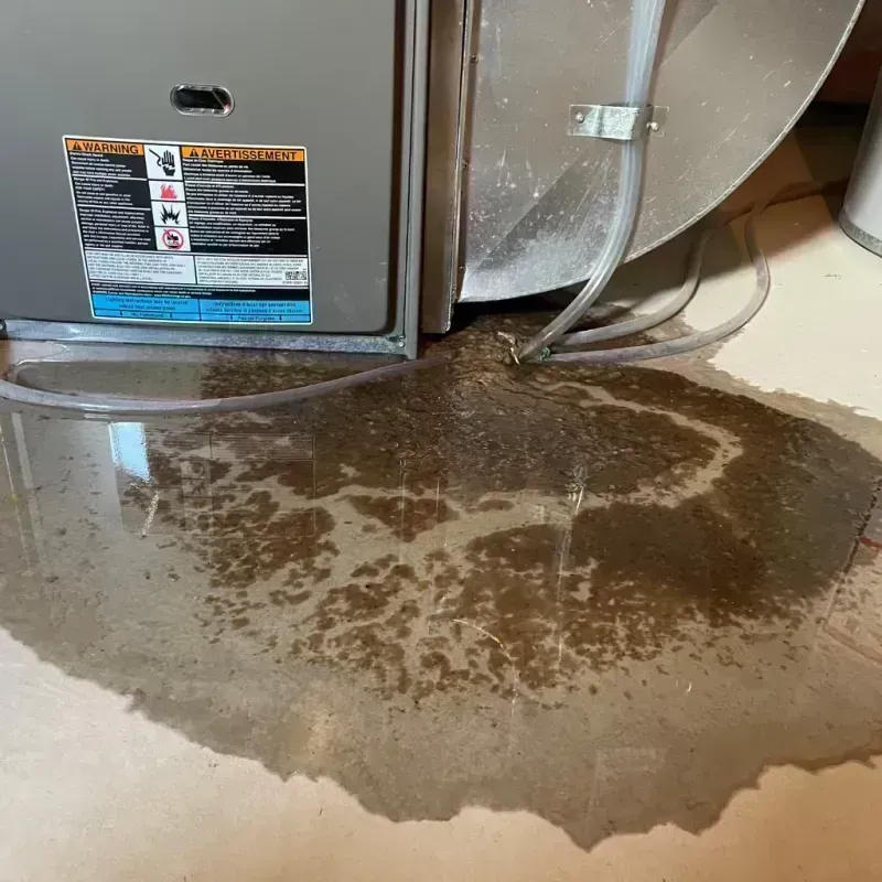 Appliance Leak Cleanup in Rosewood Heights, IL